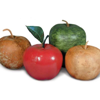 Gourd Big Apple