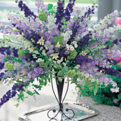 Larkspur Cannes Mix: Fully double flowers of pink, purple, rose, lilac, and white, including bicolors, picotees, and stripes, on Larkspur Cannes Mix. Reaches 5 to 6 feet high, 6 to 8 inches wide.