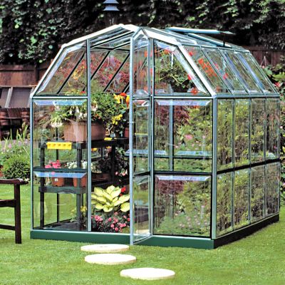 Enthusiast Hobby Greenhouse: 6-foot-wide, 8-foot-long home greenhouse with barn-roof design, 3 vents, and polycarbonate windows.