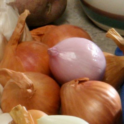 Shallot 'Holland Red': A mildly-flavored Shallot with coppery skin and reddish-purple flesh, boasting superb storage ability.