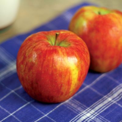Honeycrisp<TM> Apple PP#7,197