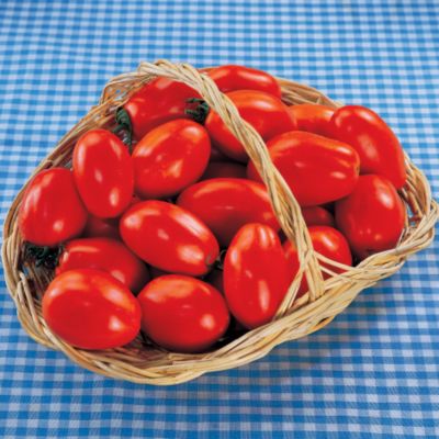 Tomato La Rossa Hybrid