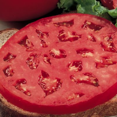 Tomato Park's  Whopper Cr Improved, VFFNT Hybrid: 4-inch (and larger) tomato is bright red, round with a slightly flattened shape, and smooth-shouldered.