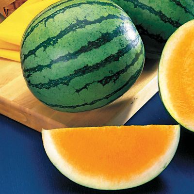 Watermelon Orange Sunshine