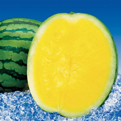 Watermelon Park