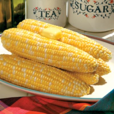 Corn 'Bicolor Mirai 301BC': 7- to 8-inch ears with a mix of white and yellow kernels on 7-foot plants.