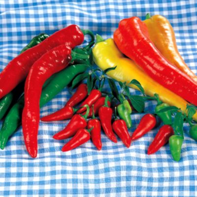 Pepper Garden Salsa Hybrid