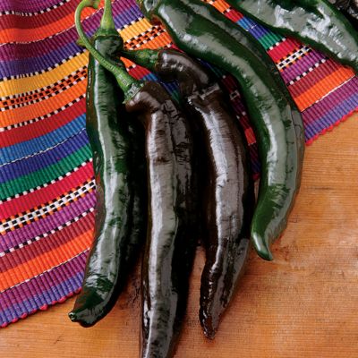 Pepper Holy Mole
