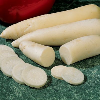 Radish April Cross Hybrid