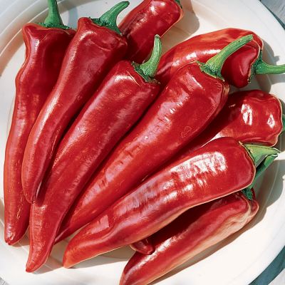 Pepper Hungarian Hot Wax Organic