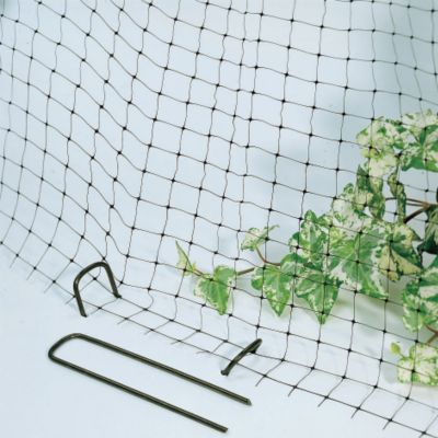 Parks Anti-Bird Net 14 x 45 feet
