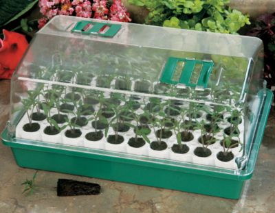Park's Original 60-cell Bio Dome Seed Starter: (photo of Park's Original 60-cell Bio Dome)