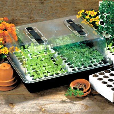  Double 120-cell Bio Dome