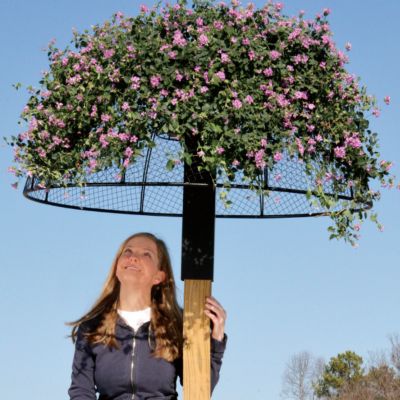 Umbrella Planter