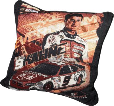 Pillows/Throws