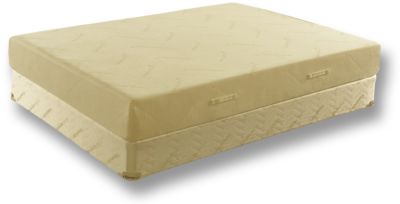 Tempur-Pedic Deluxe Queen Low Profile Mattress Set