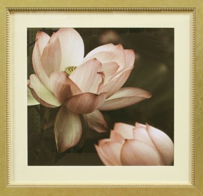 Lotus II Framed Artwork